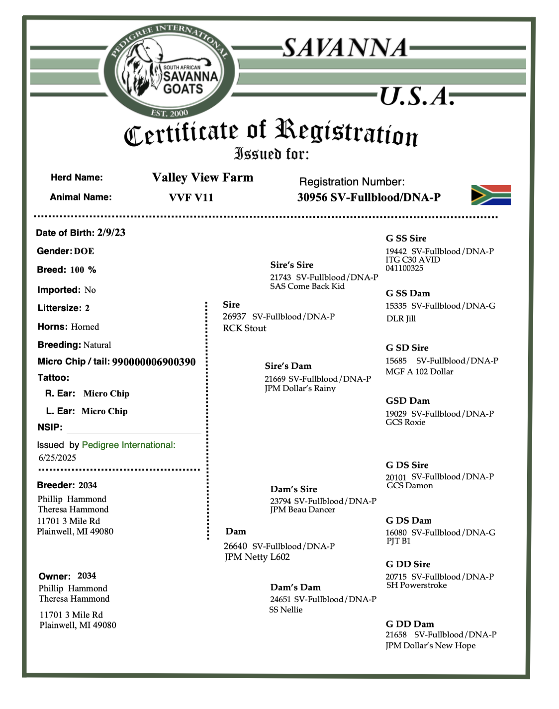 Screenshot 2025-07-07 at 10.50.19 AM